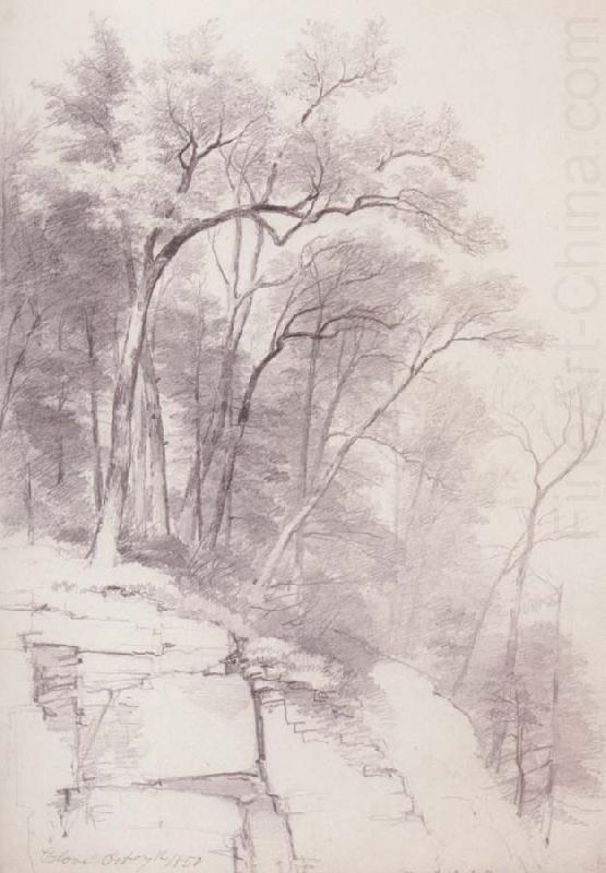 Study of Trees and Rocks,kaaterskill Clove, Asher Brown Durand